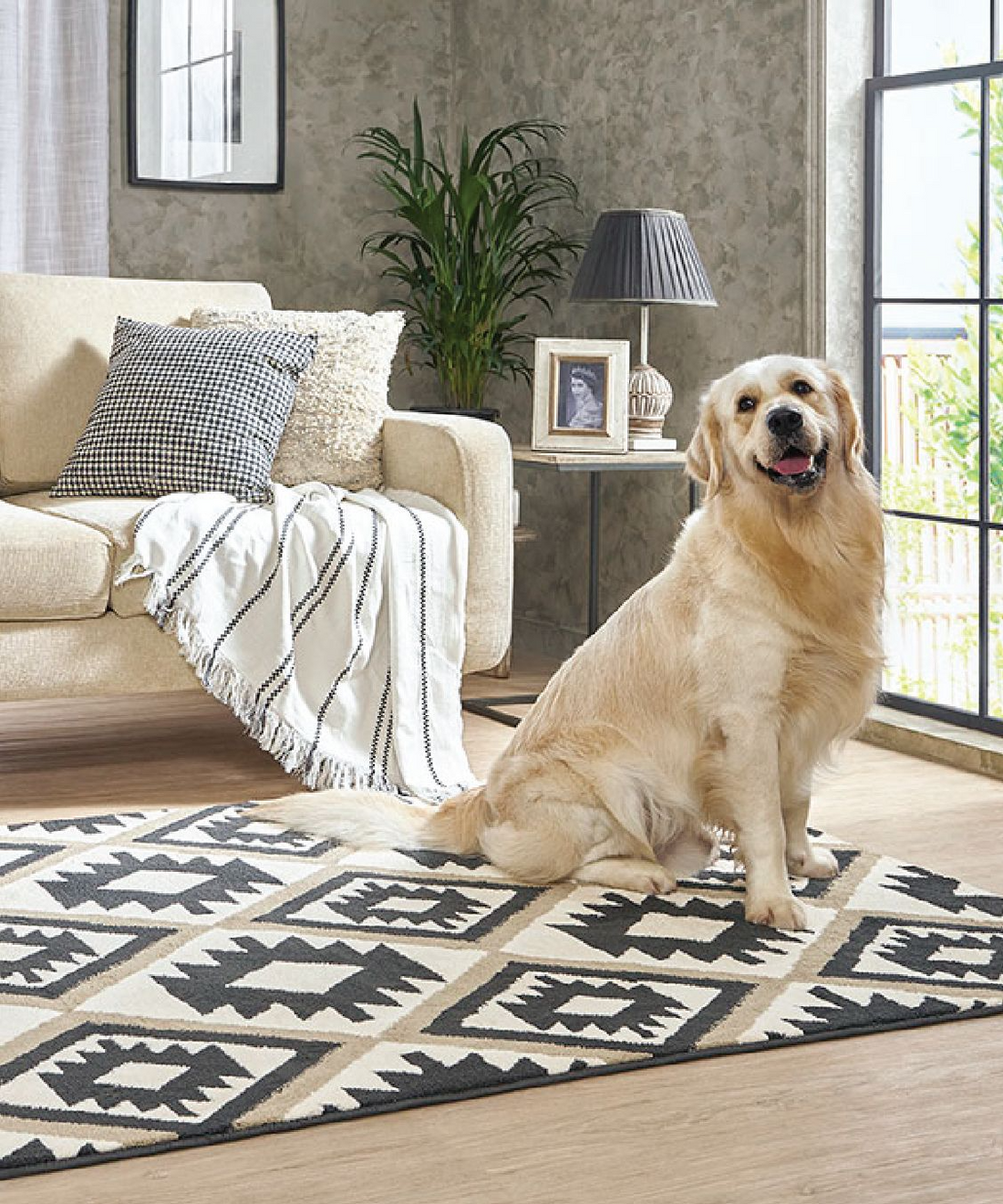 Why every home needs a rug ?