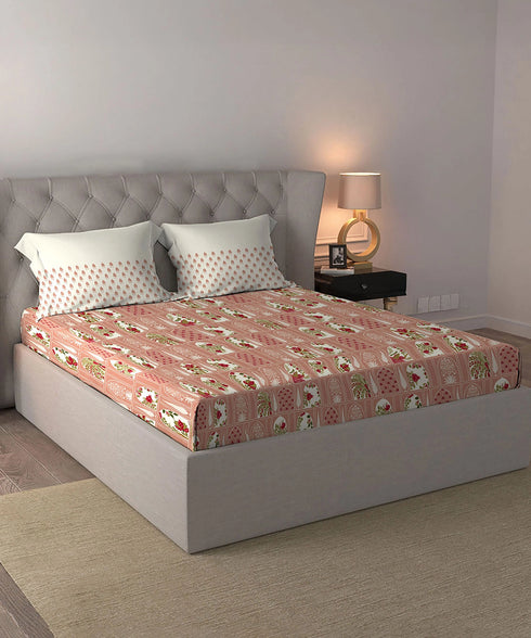 Celebration Queen Bedsheet Set, Aangan Coral| 144 TC Cotton| 2 Pillow Covers