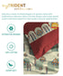 Celebration Queen Bedsheet Set, Ruhani Orange | 144 TC Cotton| 2 Pillow Covers
