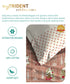 Celebration Queen Bedsheet Set, Aangan Coral| 144 TC Cotton| 2 Pillow Covers