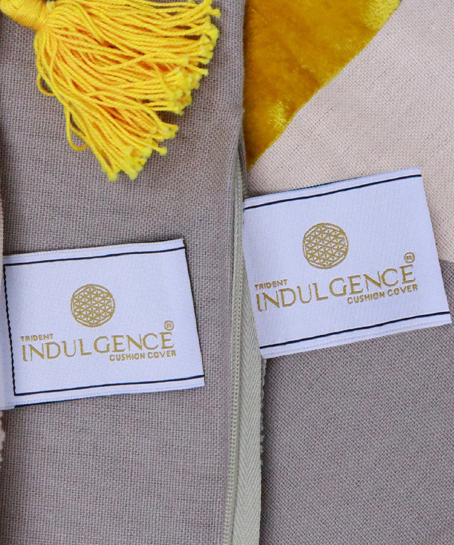 Indulgence Collection 2 Pc set 40X40 cms Cotton Velvet Grandeur Cushion Cover