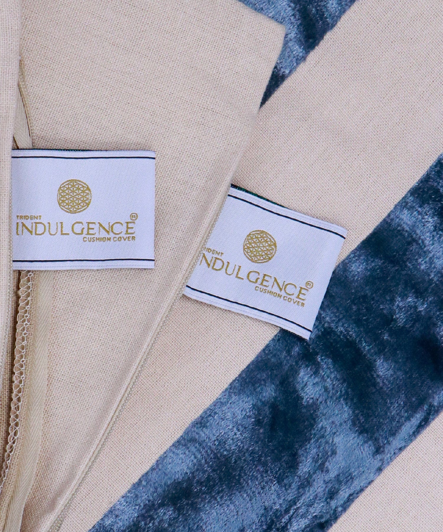 Indulgence Collection 2 Pc set 40X40 cms Cotton Velvet Splendour Cushion Cover