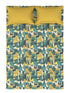 Queen Bedsheet