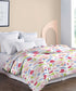 King Bedsheet