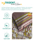 Queen Bedsheet