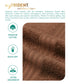 Celebration 4Pc Towel set, Cafe Noir | 450 GSM Cotton