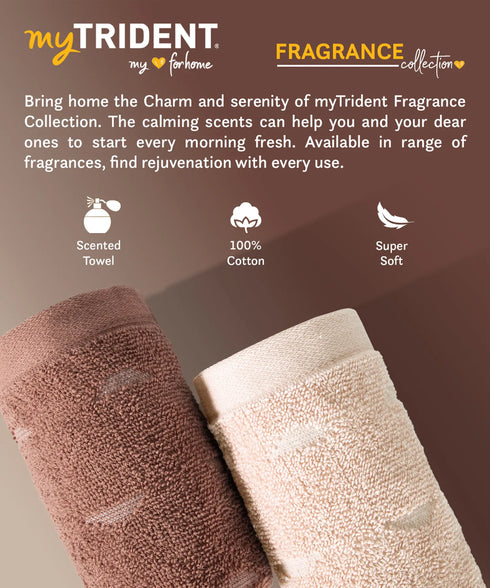 Fragrance 4Pc Towel Set, Sandalwood| 500 GSM Cotton