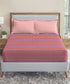 Urban Comfort Queen Bedsheet Set, Party Mood Pink |144 TC Cotton| 2 Pillow Covers