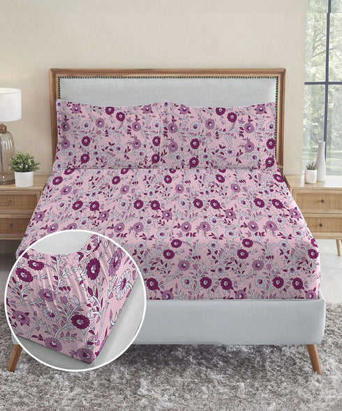 Urban Comfort King Fitted Bedsheet Set, Desert Gardern Pink|144 TC Cotton| 2 Pillow Covers