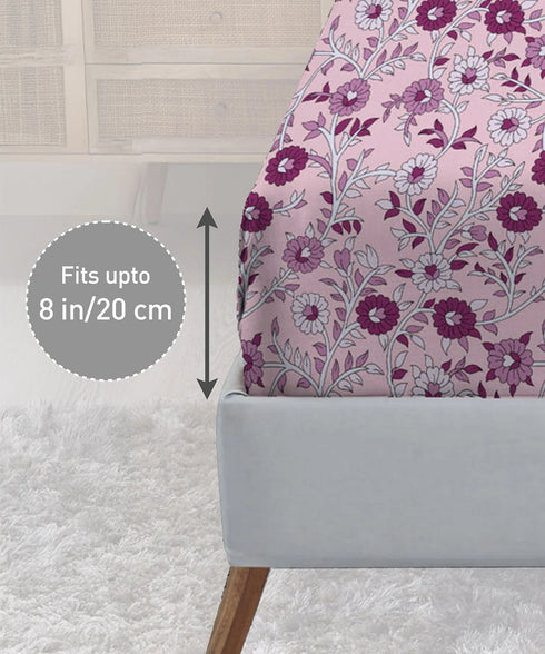 Urban Comfort King Fitted Bedsheet Set, Desert Gardern Pink|144 TC Cotton| 2 Pillow Covers