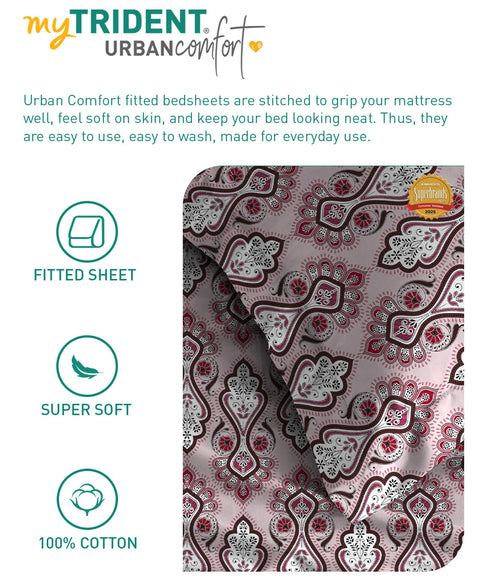 Urban Comfort King Fitted Bedsheet Set, Delicate Blush |144 TC Cotton| 2 Pillow Covers