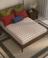 Home Essential Suzani King Bedsheet, Bhar|144TC Cotton| 2 Pillow Covers