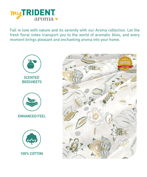 Aroma King Bedsheet Set,Vanilla Fudge|180 TC Cotton|2 Pillow Covers