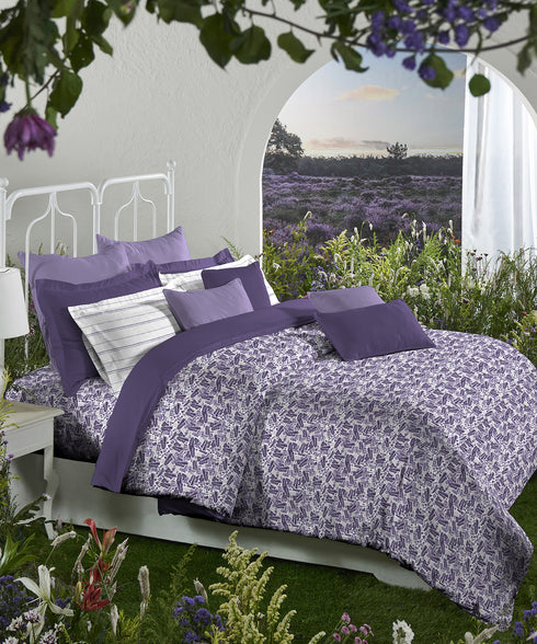 Aroma King Bedsheet Set, Lavender Periwinkle|180 TC Cotton|2 Pillow Covers