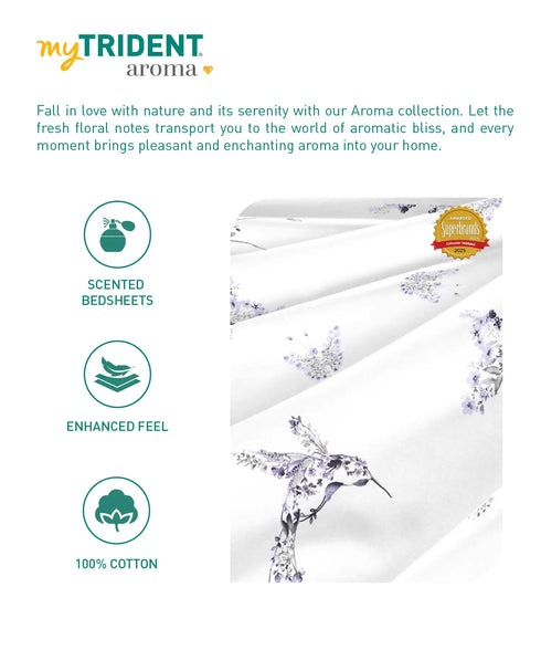 Aroma King Bedsheet Set, Lavender Heather|180 TC Cotton|2 Pillow Covers