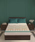 Gates Around The Globe King Bedsheet Set, Arqadia| 180 TC Cotton| 2 Pillow Covers