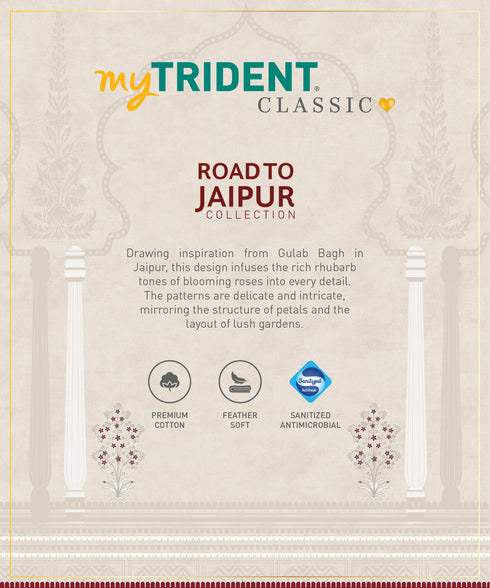 Road To Jaipur King Bedsheet Set, GULAB GHAR |210 TC Cotton |2 Pillow Covers