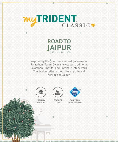 Road To Jaipur King Bedsheet Set, TORAN DWAR |210 TC Cotton |2 Pillow Covers