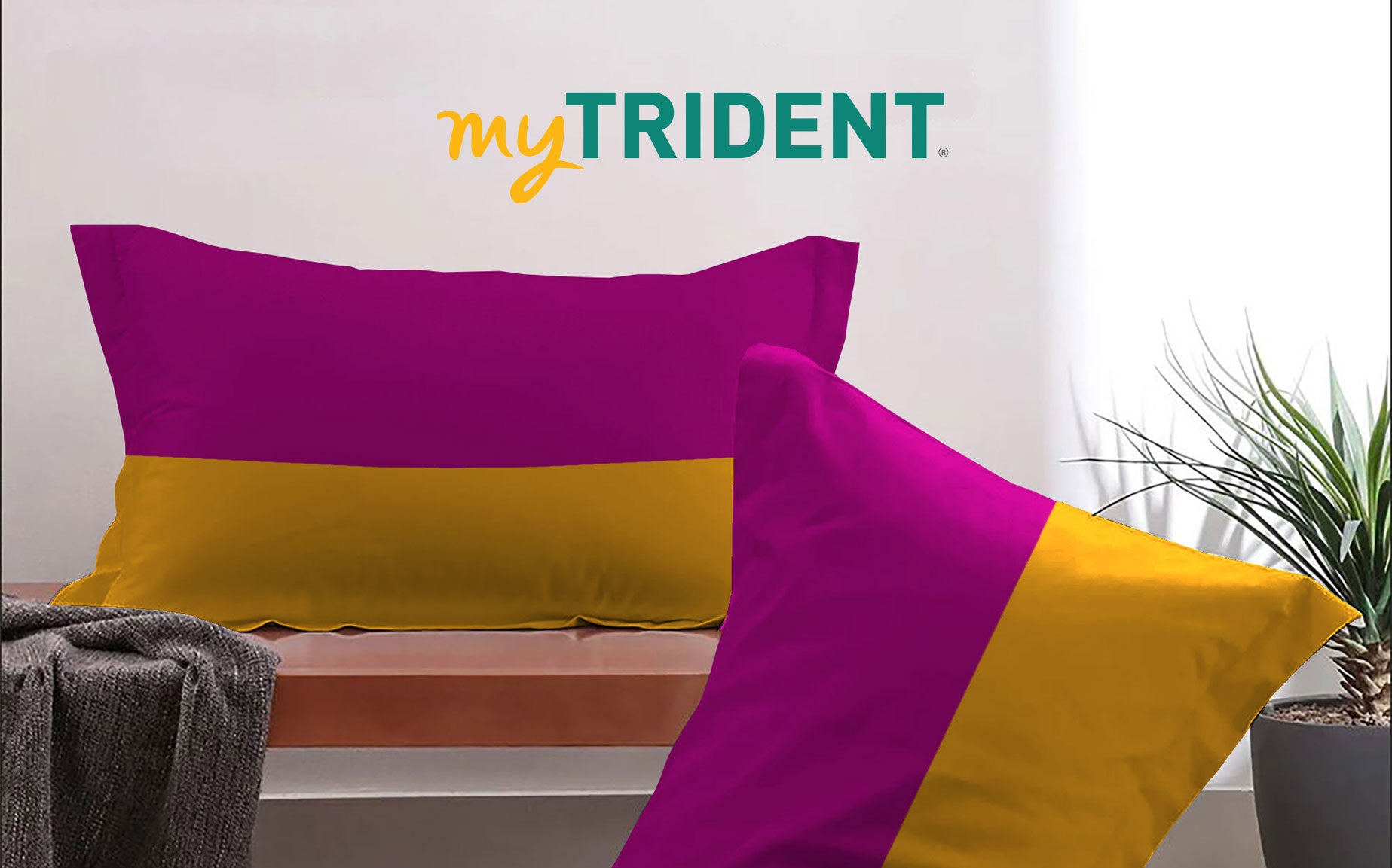 A plus content image