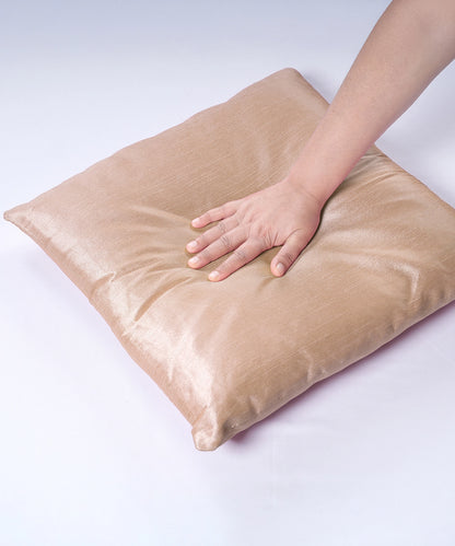 Everyday Solid Single Cushion, 250 GSM, 40 cm x 40 cm, Latte