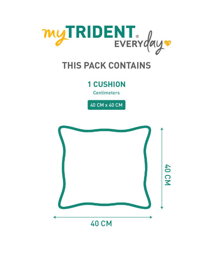 Everyday Solid Single Cushion, 250 GSM, 40 cm x 40 cm, Alloy Grey