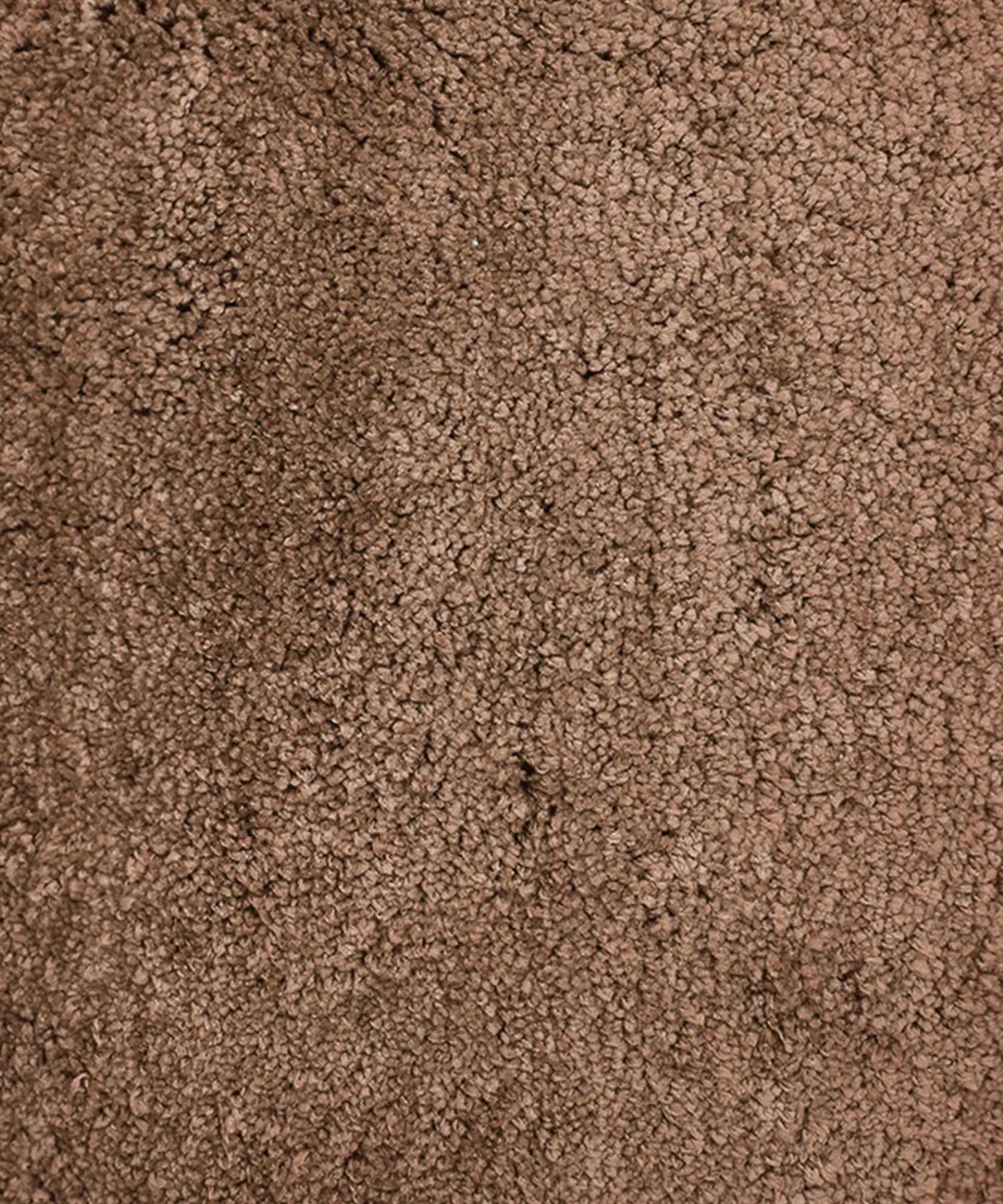 Everyday Bathmat 2000GSM 40X60CM Acorn