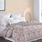 King Bedsheet