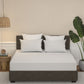 Home Essential Pastel Poetry King Bedsheet With 2 Pillow Cover, 100% Cotton, 144 TC, Coco