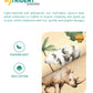Juniors Printed Single Comforter- Jigsaw Jungle