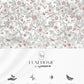 Luxe Home King Bedsheet, Ginni|300 TC Cotton Bamboo|2 Pillow Covers