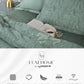 Luxe Home King Bedsheet, Noire|600 TC Cotton|4 Pillow Covers
