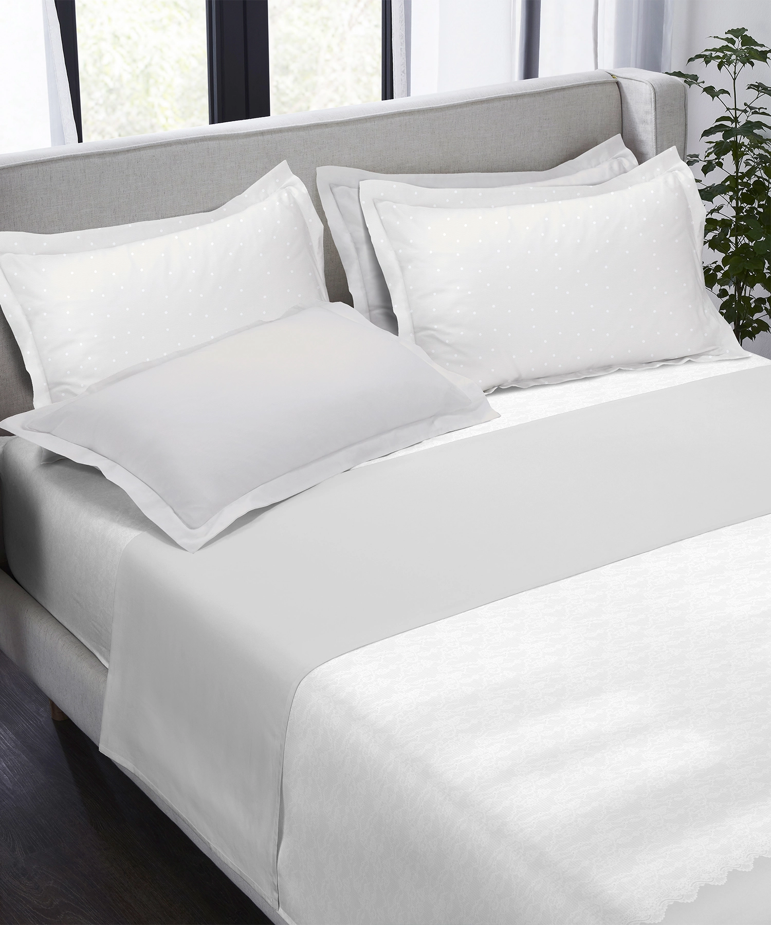 Indulgence Symphony of Threads Bedsheet Gift Set, Pearl| 300 TC Kasturi Cotton|4 Pillow Covers