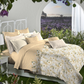 Aroma King Bedsheet Set, Musk Vanilla|180 TC Cotton|2 Pillow Covers