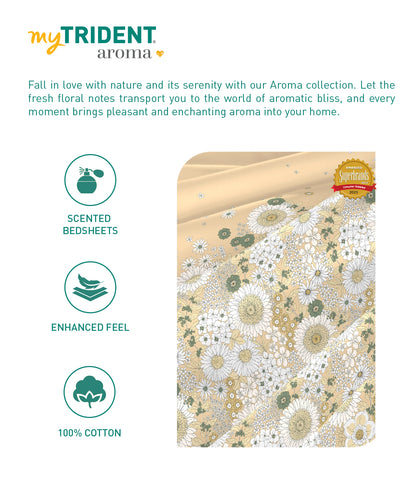 Aroma King Bedsheet Set, Musk Vanilla|180 TC Cotton|2 Pillow Covers