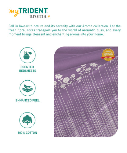 Aroma King Bedsheet Set, Iris Lavender|180 TC Cotton|2 Pillow Covers