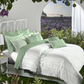 Aroma King Bedsheet Set, Fern Green Apple|180 TC Cotton|2 Pillow Covers