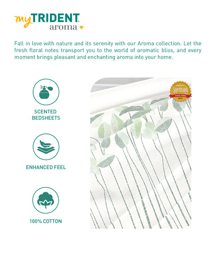 Aroma King Bedsheet Set, Fern Green Apple|180 TC Cotton|2 Pillow Covers