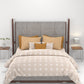 Carnival Ornate Queen Bedsheet, Chaithra Orange |144 TC Cotton| 2 Pillow Covers