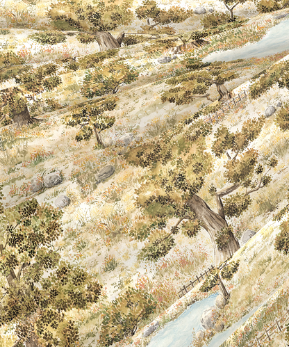 Indulgence Painterly Pattern King Bedsheet Set, Whispering Forest|300 TC Cotton| 4 Pillow Covers