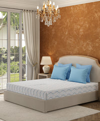 Carnival Floral Double Bedsheet Set,William Manor Blue| 144TC Cotton | 2 Pillow Covers