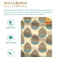 Home Essential Royal Bloom Queen Bedsheet Set, Dhalia Orange| 144TC Cotton| 2 Pillow Covers