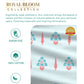 Home Essential Royal Bloom Queen Bedsheet Set, Raya Blue| 144TC Cotton| 2 Pillow Covers