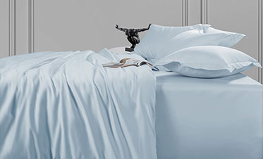 Nectarsoft King Solid Bedsheet Set, Light Blue| 600 TC Cotton| 4 Pillow Covers