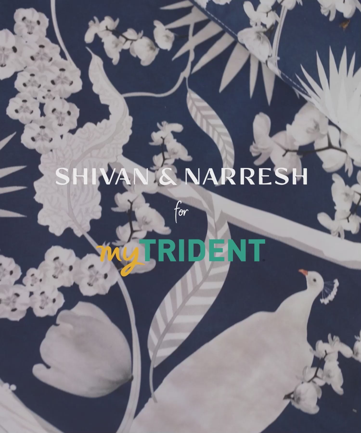 Shivan & Narresh for myTrident King Bedsheet with 4 pillow covers, 400TC, IZU JUNO